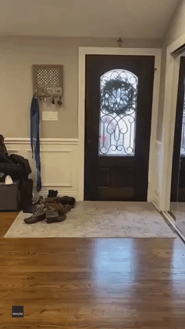 Mall Delivers Nerf Gun After Video of Santa Bringing Boy to Tears Goes Viral