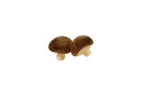 lisachiuqq food illustration mushroom cooker Sticker