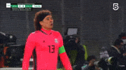 Liga Mx Football GIF by MiSelecciónMX