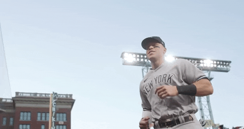 Aaron Judge Baseball GIF by MLB