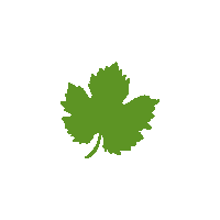 Wine Energy Sticker by Dom Brial