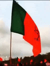 Rahul Gandhi Bollywood GIF