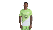 Football Hello Sticker by VfL Wolfsburg