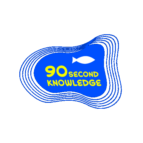 Fishing Tips Sticker by Fishbites