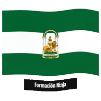 Flag Spain Sticker by Formación Ninja