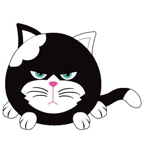 Angry Cat Sticker by HangryPetz