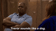 nbc GIF by Brooklyn Nine-Nine