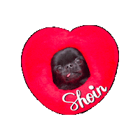 Heart Bm Sticker