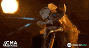 Country Music Association GIF by CMA Awards