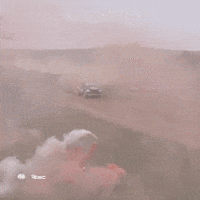 Driving Jumping Car GIF by FIA European Rally Championship