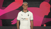 Borussia Monchengladbach Shake GIF by Bundesliga