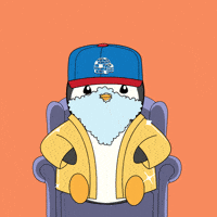 Penguin Wow GIF by Pudgy Penguins