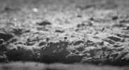 emerging black and white GIF