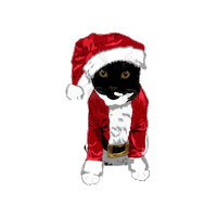 Merry Christmas Cat Sticker