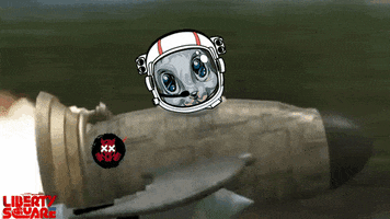 LibertySquareHQ moon rocket astronaut squirrel GIF