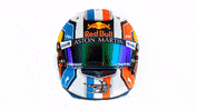 redbullracing france 2019 f1 french GIF