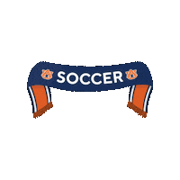 War Eagle Sport Sticker by Auburn Tigers