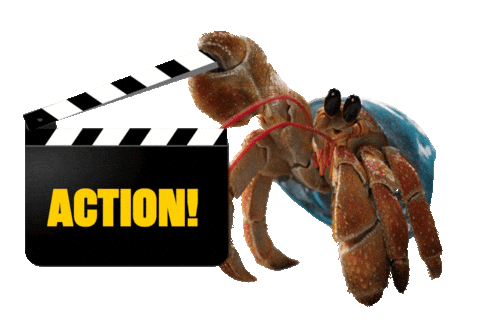 Ocean Life Animation Sticker by JoinZuzu