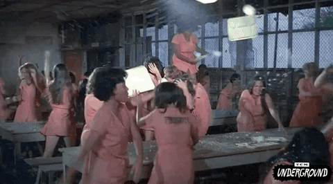 Cult Classic Women GIF by Turner Classic Movies