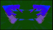 Video Art GIF by cskonopka