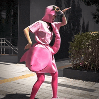 Bird Dancing GIF