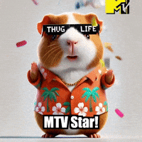 GIF by Guinea Gambino