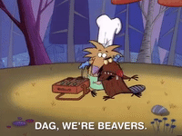 nickrewind nicksplat angry beavers GIF