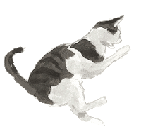 buttmvnch cat kitty kitten squirm Sticker