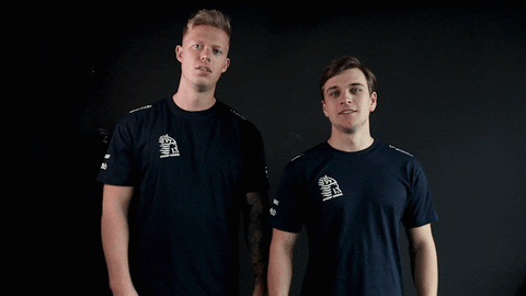 Vikings Yes GIF by Lyngby eSport