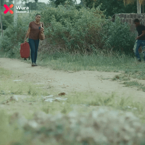 GIF by Showmax