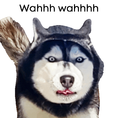 Unimpressedhusky Sticker