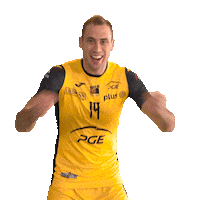 Atanasijevic Sticker by PGE Skra Bełchatów