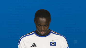 Look Up Hamburger Sv GIF by Bundesliga