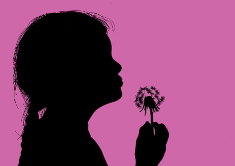 Girl Flower GIF