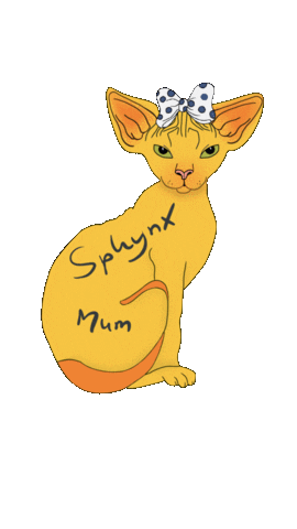 paeddydesign giphyupload cat sphynx sphynx cat Sticker