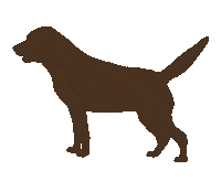 rogueartlab dog excited chocolate lab Sticker