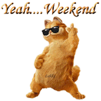 Friday Drinking Sticker