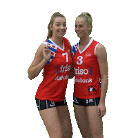 Volleybal Sneek Sticker by EyeWax