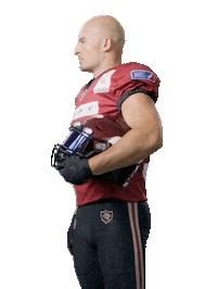 rheinfire football fire touchdown elf Sticker