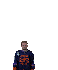Sport Hokej Sticker by HCSTADION