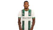 Borussia Moenchengladbach Thanks Sticker by Bundesliga