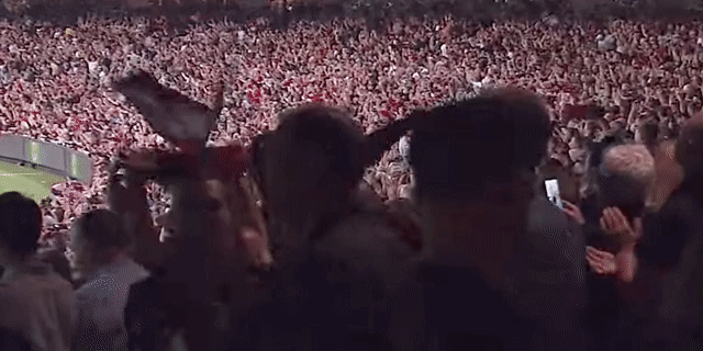 afl don GIF by Essendon FC