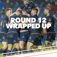 GIF by PRO14Official