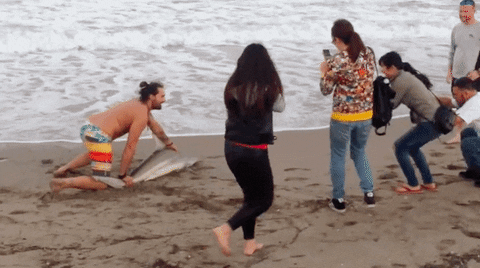 GIF by Mashable
