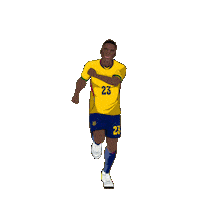 World Cup Football Sticker by Panini America