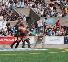rugby league fighting GIF by Toronto Wolfpack
