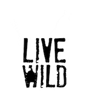 Live GIF by Soliści #dreamsintomemories