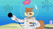 season 9 the fish bowl GIF by SpongeBob SquarePants