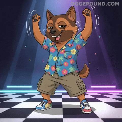 Happy Lets Go GIF by Doge Pound