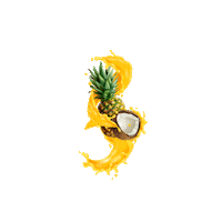 Pina Colada Coco Sticker by Piña Loka